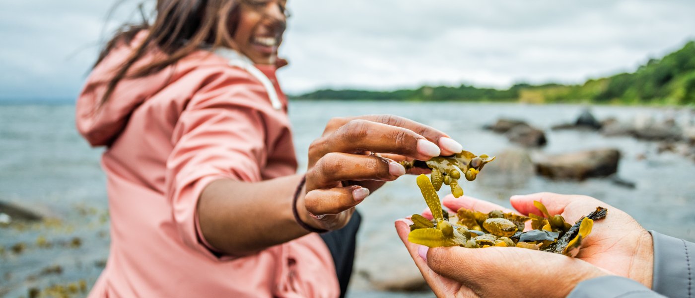 Kvinna plockar tång vid havet