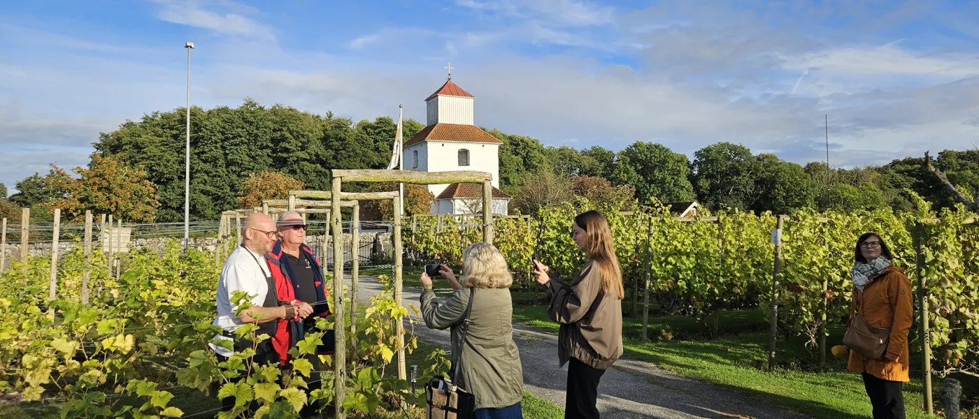 Journalister fotograferar på Ivögården. Foto.
