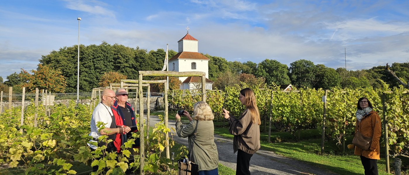 Journalister fotograferar på Ivögården. Foto.