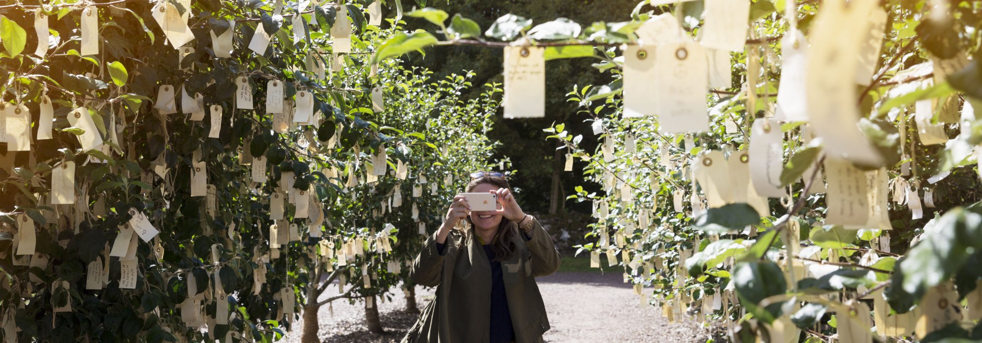 Person fotograferar träd fyllda med pappersark