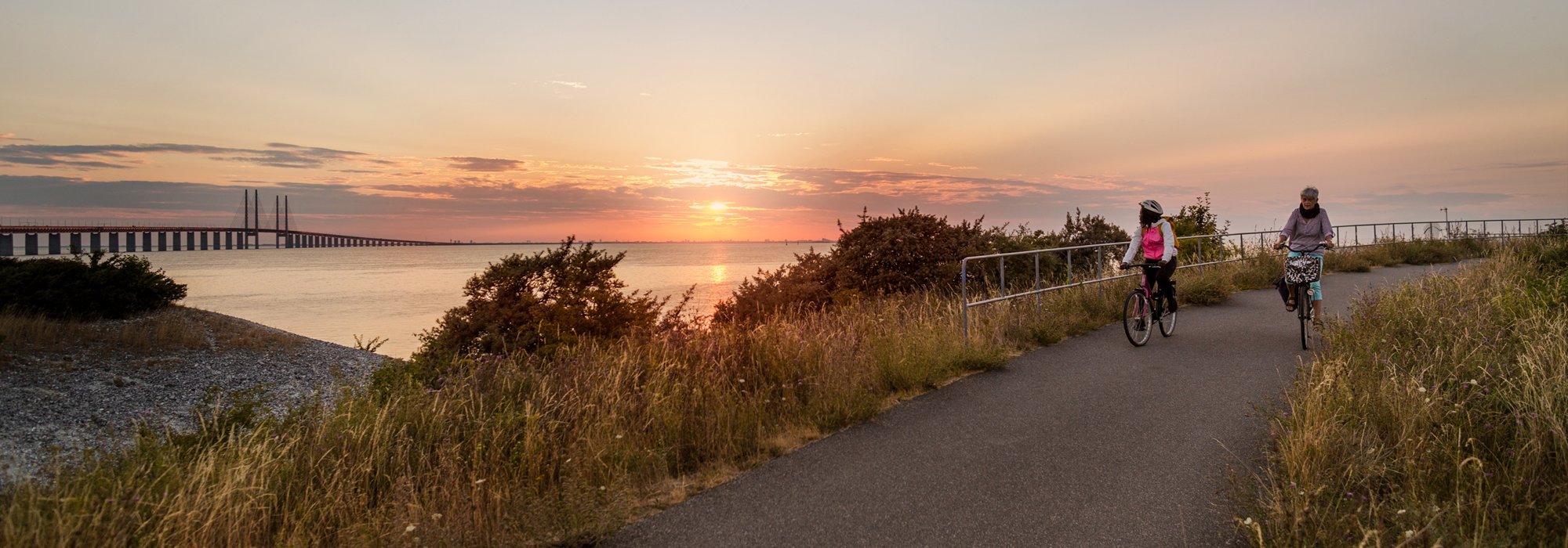 Cyklister i solnedgång vid Öresundsbron. Foto.